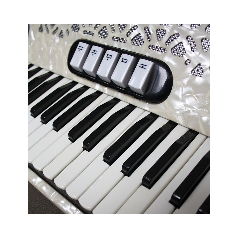 Acordeon gaita sanfona minuano 40 baixos                    