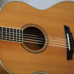 Guitarra portuguesa...